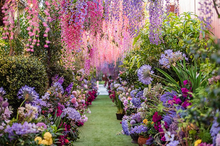 floral canopies at the grounds of alexandria